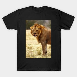 Mmmmm...Nice ! The Male Lion After Copulation, Maasai Mara, Kenya T-Shirt